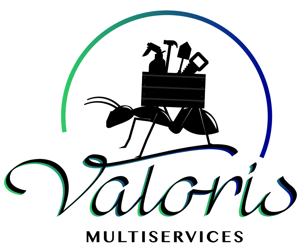 VALORIS_LOGO-1-1